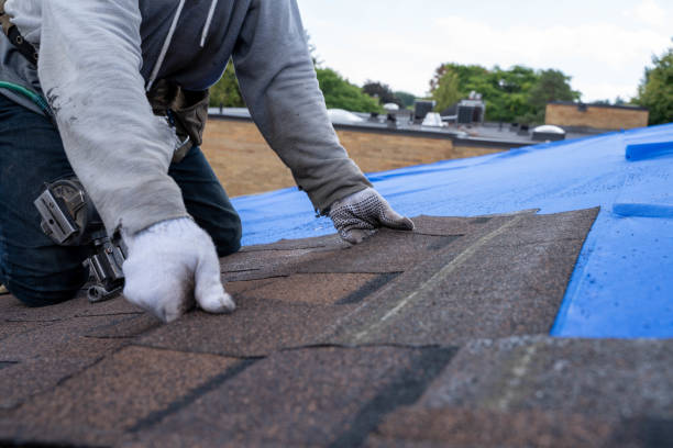 Tile Roofing Contractor in Hargill, TX
